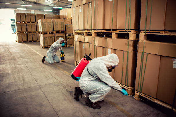 Best Best Pest Control Companies  in Hallettsville, TX