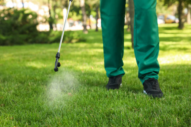 Best Residential Pest Control  in Hallettsville, TX